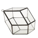 Rhombus Shape Hanging Glass Geometric Terrarium Box Succulent Air plant Case