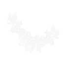 White Lace Embroidered Venise Floral Neckline Neck Collar Clothes Sewing Applique Patch
