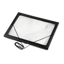 Hands-Free Full Page Magnifier for Reading With Jewelry Loupe Magnifier