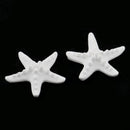 2 Pieces Seastar Aroma Fragrance Stone DIY Essential Oil Diffuser for Home Decoration