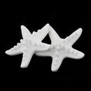 2 Pieces Seastar Aroma Fragrance Stone DIY Essential Oil Diffuser for Home Decoration