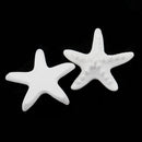 2 Pieces Seastar Aroma Fragrance Stone DIY Essential Oil Diffuser for Home Decoration