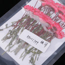 50 Pieces Pressed Dried Flowers Chrysanthemum for Floral Art Craft Card Making