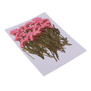 50 Pieces Pressed Flowers Chrysanthemums Real Flowers With Stems Dried Flowers