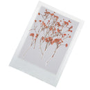 12 Pieces Pressed Real Dried Flowers Babysbreath for DIY Art Craft Scrapbooking