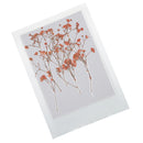 12 Pieces Pressed Real Dried Flowers Babysbreath for DIY Art Craft Scrapbooking