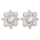 2 Pieces Bridal Wedding Shoes Decoration Crystal Shoe Charm Shoes Clip