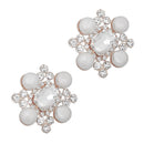 2 Pieces Bridal Wedding Shoes Decoration Crystal Shoe Charm Shoes Clip