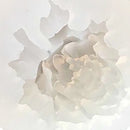 3D Rose Decoration Jewelry Craft Cake Mold Art Silicone DIY Handmade Soap Mould