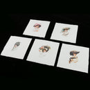 5 Piece Hand Dyed Beauty Printed Cotton Fabric Canvas for Patchwork Quilting Craft DIY Bag Purse Making