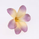 10 Pieces Mixed Color Silk Butterfly Orchid Artificial Flower Heads for DIY Craft