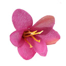 10 Pieces Mixed Color Silk Butterfly Orchid Artificial Flower Heads for DIY Craft