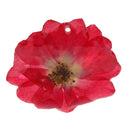 Rose Epoxy Resin Dried Flower Pendants Charms for Jewelry Making DIY Hanging Decoration w/Hole