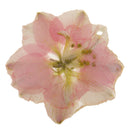 Pink Delphinium Epoxy Resin Real Dried Flower Pendant Charms for Jewelry Making DIY Necklace Earring with Hole
