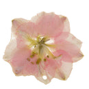 Pink Delphinium Epoxy Resin Real Dried Flower Pendant Charms for Jewelry Making DIY Necklace Earring with Hole
