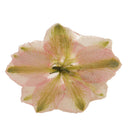 Pink Delphinium Epoxy Resin Real Dried Flower Pendant Charms for Jewelry Making DIY Necklace Earring with Hole