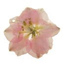 Pink Delphinium Epoxy Resin Real Dried Flower Pendant Charms for Jewelry Making DIY Necklace Earring with Hole
