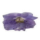 Purple Delphinium Epoxy Resin Dried Flower Pendants Charms for Jewelry Making DIY Hanging Decoration w/Hole