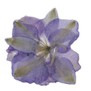 Purple Delphinium Epoxy Resin Dried Flower Pendants Charms for Jewelry Making DIY Hanging Decoration w/Hole