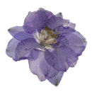 Purple Delphinium Epoxy Resin Dried Flower Pendants Charms for Jewelry Making DIY Hanging Decoration w/Hole
