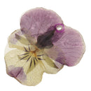 Pansy Epoxy Resin Real Dried Flower Pendant Charms for Jewelry Making DIY Necklace Earring w/Hole