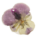 Pansy Epoxy Resin Real Dried Flower Pendant Charms for Jewelry Making DIY Necklace Earring w/Hole