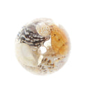 Little Conch Loose Beads Jewelry Making Resin Beads DIY Craft for Cloth Deco