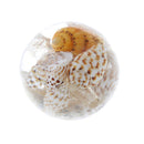 Little Conch Loose Beads Jewelry Making Resin Beads DIY Craft for Cloth Deco