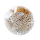 Little Conch Loose Beads Jewelry Making Resin Beads DIY Craft for Cloth Deco