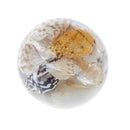 Little Conch Loose Beads Jewelry Making Resin Beads DIY Craft for Cloth Deco