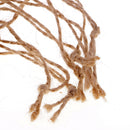 10 Pieces 2"-2.4" Hanging Pine Wood Slices Tree Bark Wooden Circles for DIY Crafts 80mm Thickness