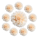 10 Pieces 5.5cm Artificial Silk Chrysanthemum Flower Head for DIY Wedding Decoration - Champagne