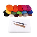 DIY Needle Felting Starter Kit Set 160g Wool Needles Felt Foam Mat Tool