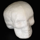 10 Pieces 55mm Creative Halloween Skull Polystyrene Styrofoam Foam DIY Materials
