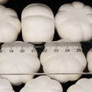 20 Pieces White Halloween Pumpkin Polystyrene Styrofoam Foam Decor for Kid Craft