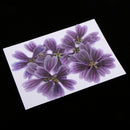 10 Pieces 3- 5cm Mini Pressed Dried Althaea rosea Flower For Resin Jewelry Pendant Bracelet Phone Case Arts & Crafts DIY Accessories