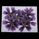 10 Pieces 3- 5cm Mini Pressed Dried Althaea rosea Flower For Resin Jewelry Pendant Bracelet Phone Case Arts & Crafts DIY Accessories