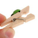 30 Pieces Cute Ladybird Wooden Clips Mini Nice Food Clip Kawaii Wood Paper Photo Pegs Clothespin Craft Decoration Clips Students DIY Tools