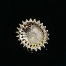 5 Pieces Alloy Rhinestone Pearl Buttons Embellishment for DIY Jewelry Craft 29mm
