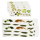 10 Sheet 3D Leaves Resin Painting Sticker for Resin Casting Decoration