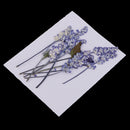 Pack of 10 Mixed Real Pressed Dried Flowers Natural Dry Sage Flowers Embellishments DIY Making Card Handmade Jewelry Resin Crafts Scrapbooking Art Crafts Accessories