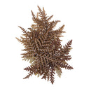 10 Pieces 1.5 - 4 cm / 0.59 - 1.57" Real Pressed Zigzag Fern Leaves Natural Dried Flowers Embellishments for Card making Scrapbooking DIY Arts Crafts