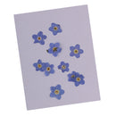 10 Piece Pressed Real Dried Flowers Forget Me Not for Resin Ornament Jewelry Making
