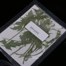 12 Pieces Dried Flowers Real Pressed Balloon Vine Leaves DIY Resin Casting Craft Jewelry Findings Making