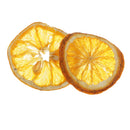 Dried Pressed Exopy Fruits Lemon Slices Plant Herbarium for Resin Casting ,Jewelry Making Craft