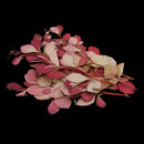 10 Pieces Natural Pressed Dried Flower Leaves For Epoxy Resin Pendant Necklace Ring Earrings Making Accessories