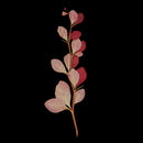 10 Pieces Natural Pressed Dried Flower Leaves For Epoxy Resin Pendant Necklace Ring Earrings Making Accessories