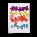 20 Pieces Pressed Dried Flower Real Flower Hydrangea Scrapbooking Embellishments for Jewelry Making DIY Ornament