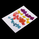 20 Pieces Pressed Dried Flower Real Flower Hydrangea Scrapbooking Embellishments for Jewelry Making DIY Ornament