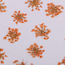 16 Pieces Dried Pressed Flowers DIY Embossed Photo Frame Phone Case Material